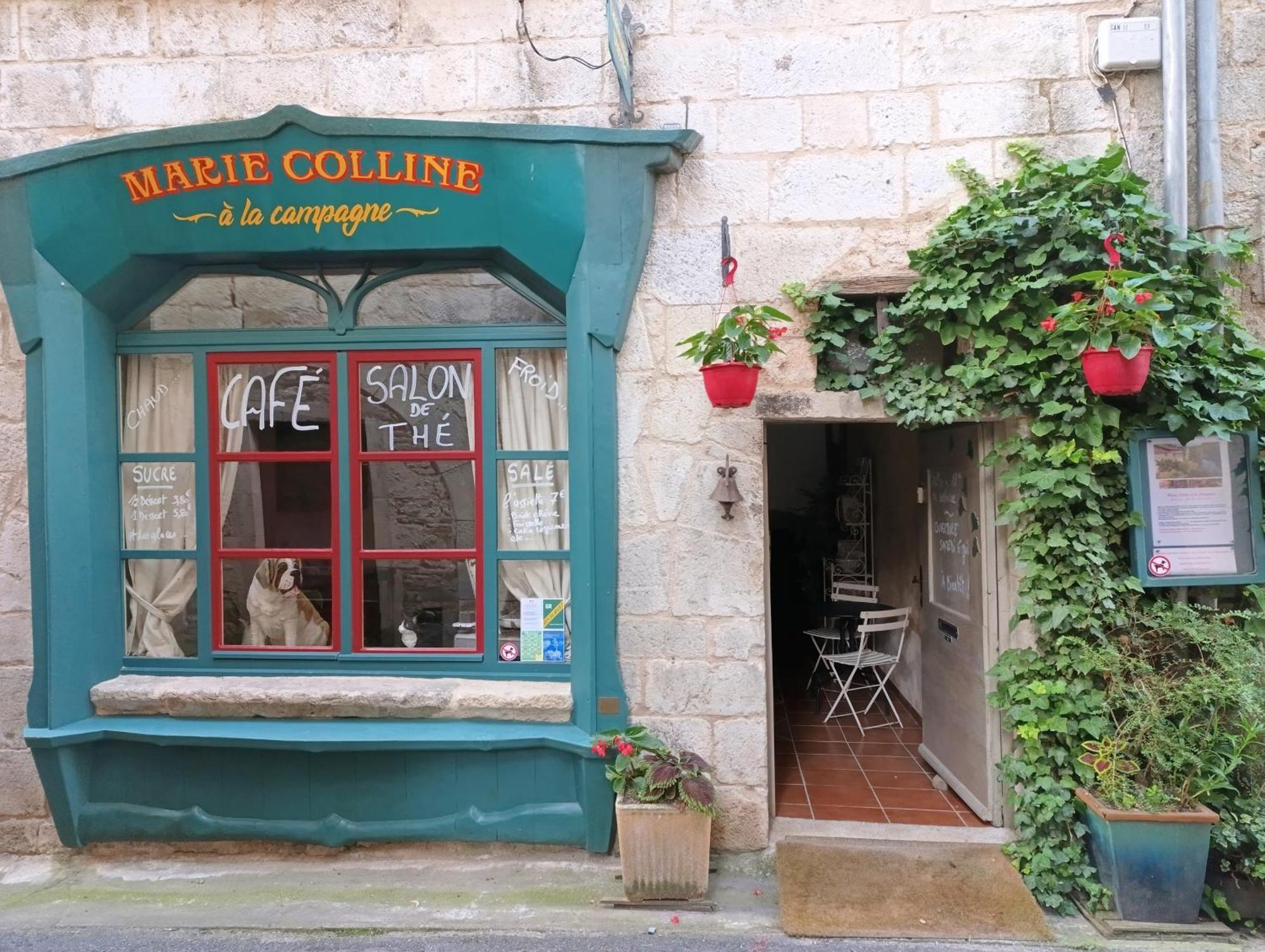 Marie Colline A La Campagne Bed & Breakfast Saint-Antonin Exterior photo